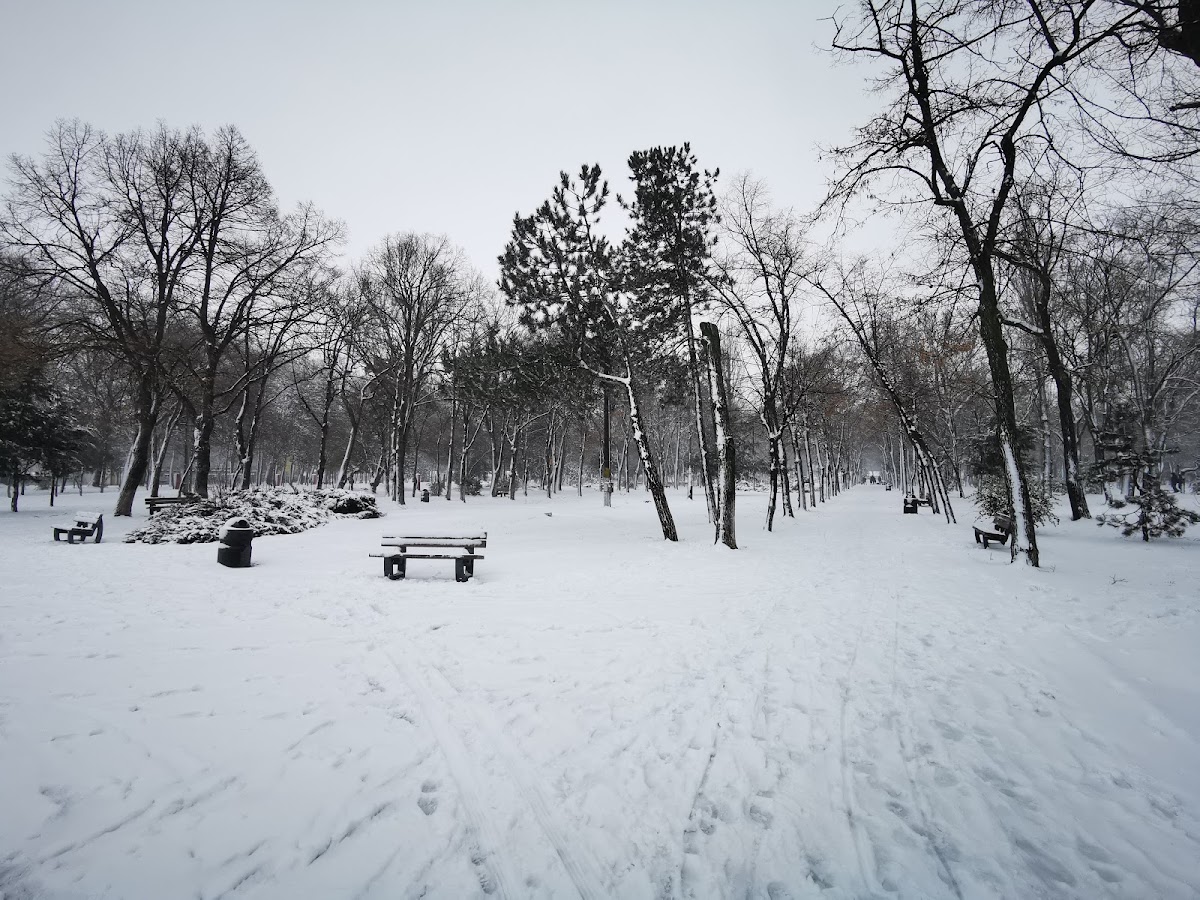 Parcul Ialomița - foto 5