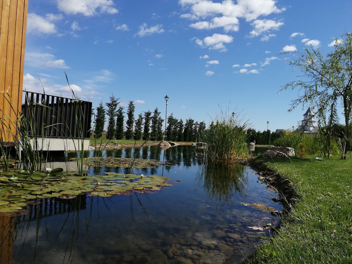 Parcul "Iazul Morilor" - foto 5