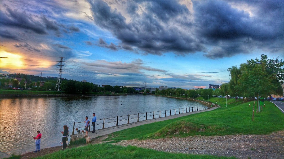 Parcul Iuliu Hațieganu - foto 3