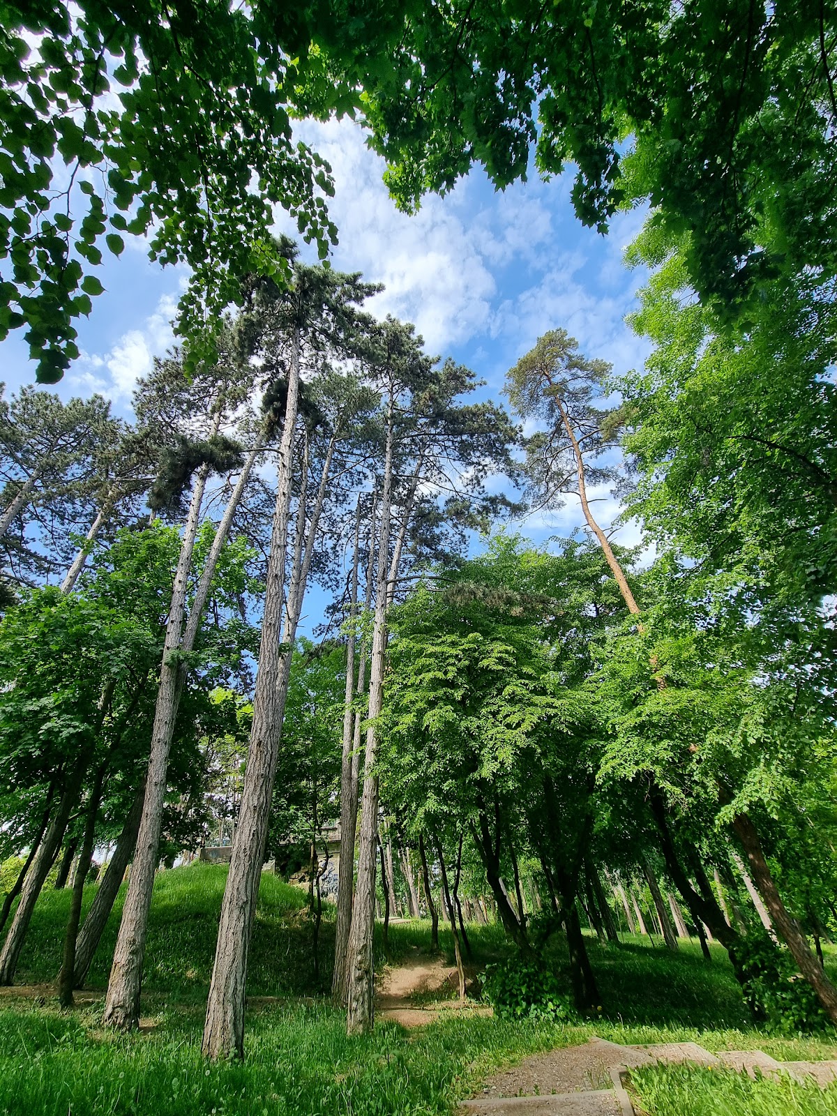 Iuliu Prodan Park - foto 2