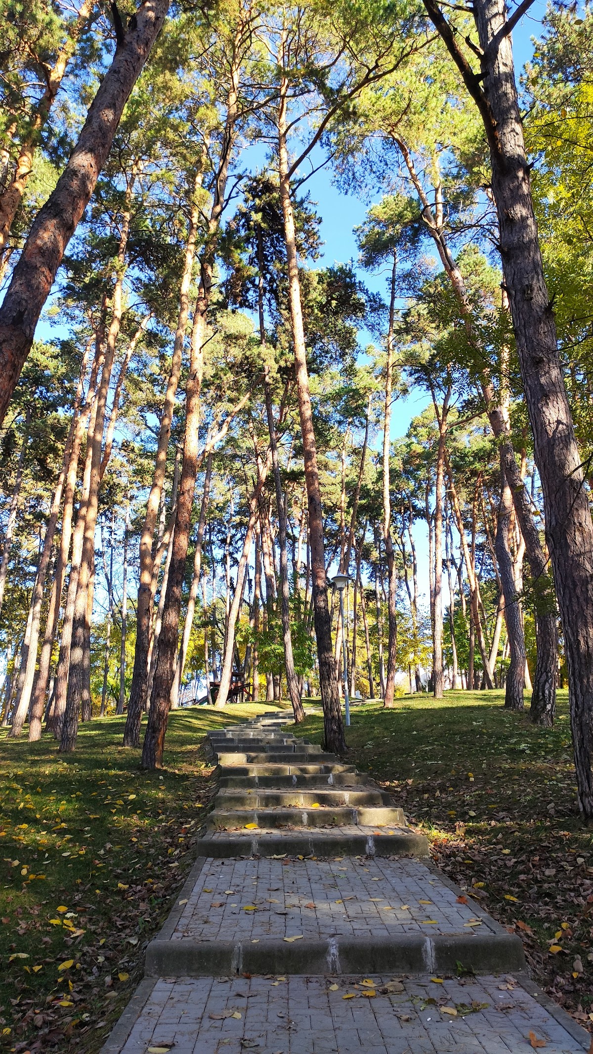 Iuliu Prodan Park - foto 3