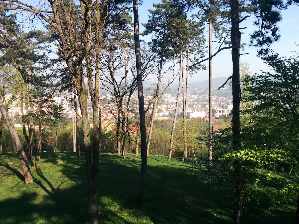 Iuliu Prodan Park - foto 5
