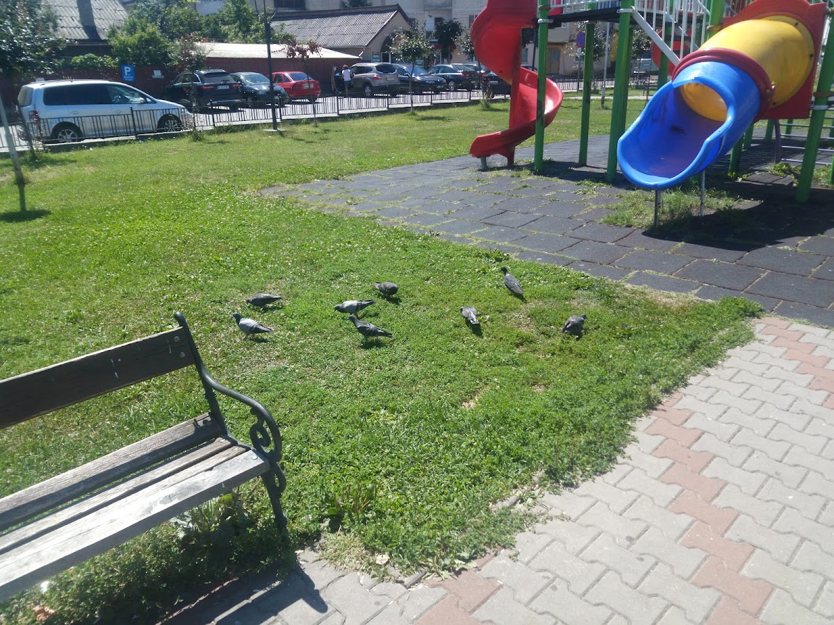 Parcul Jibou - foto 4