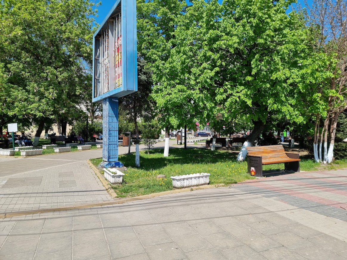Junior Park - foto 4