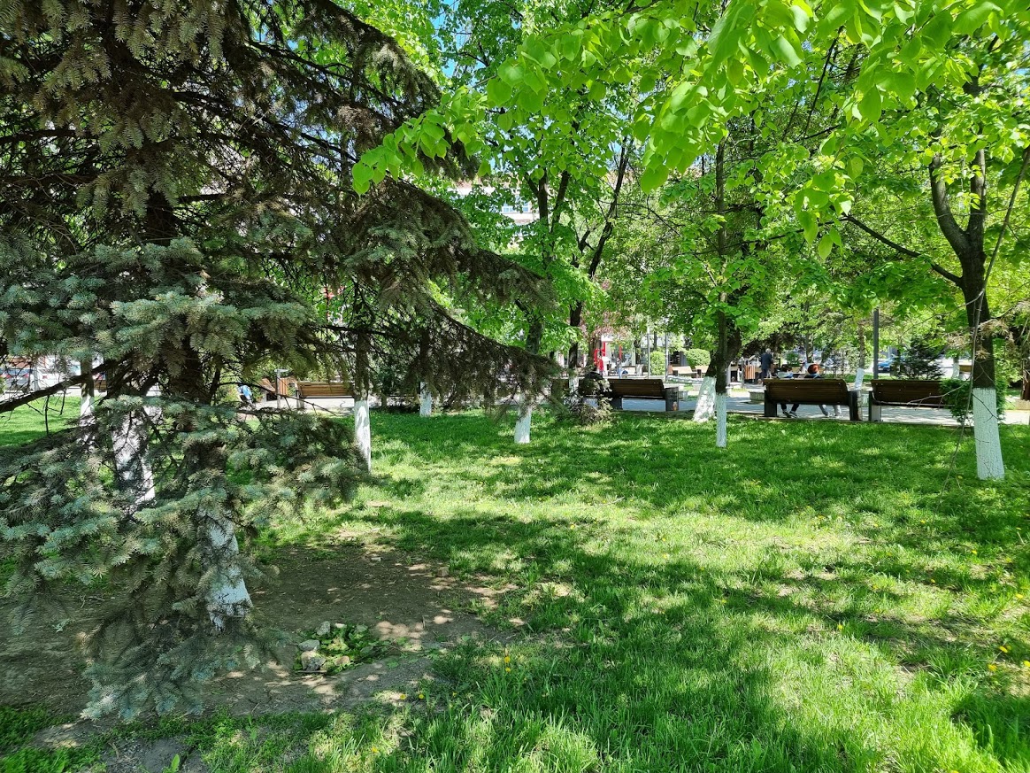 Junior Park - foto 5