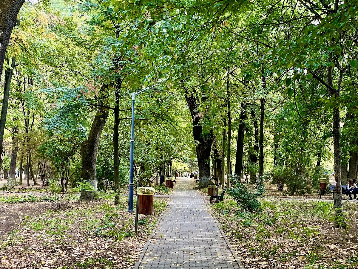 Kiseleff Park - foto 2