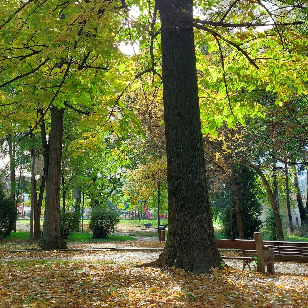 Parcul Krețulescu - foto 4