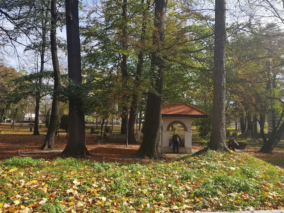 Parcul Krețulescu - foto 5