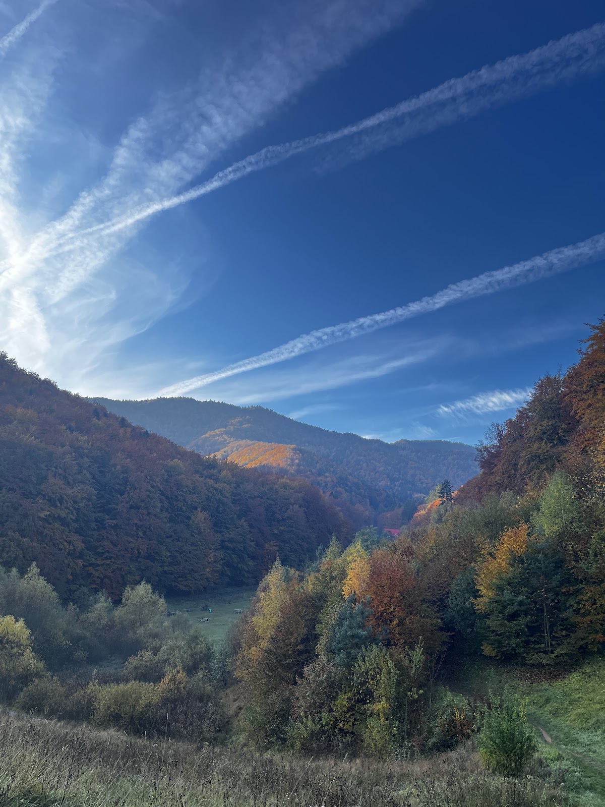 Parcul La Iepure - foto 4