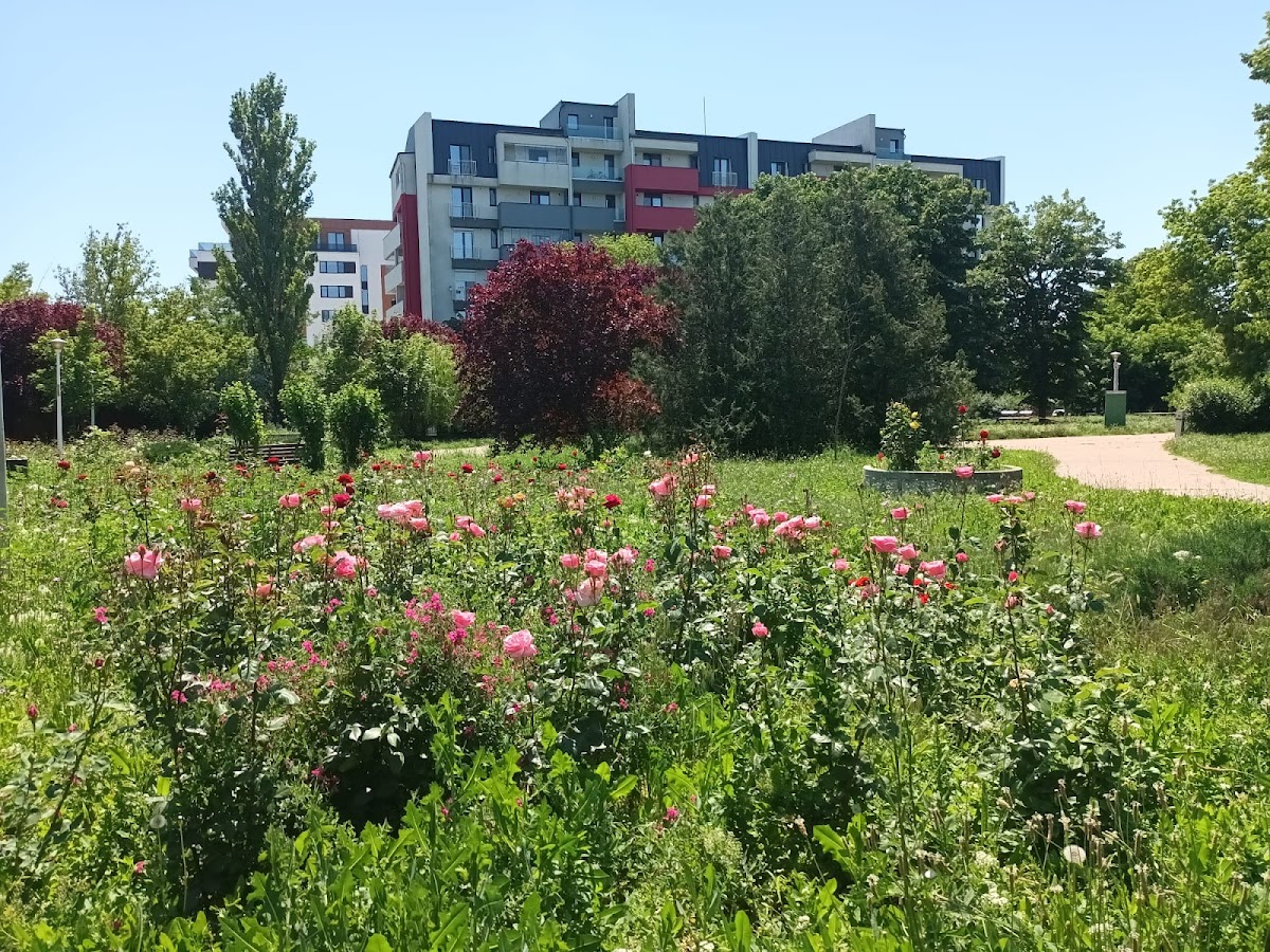 Parcul Libertății - foto 3