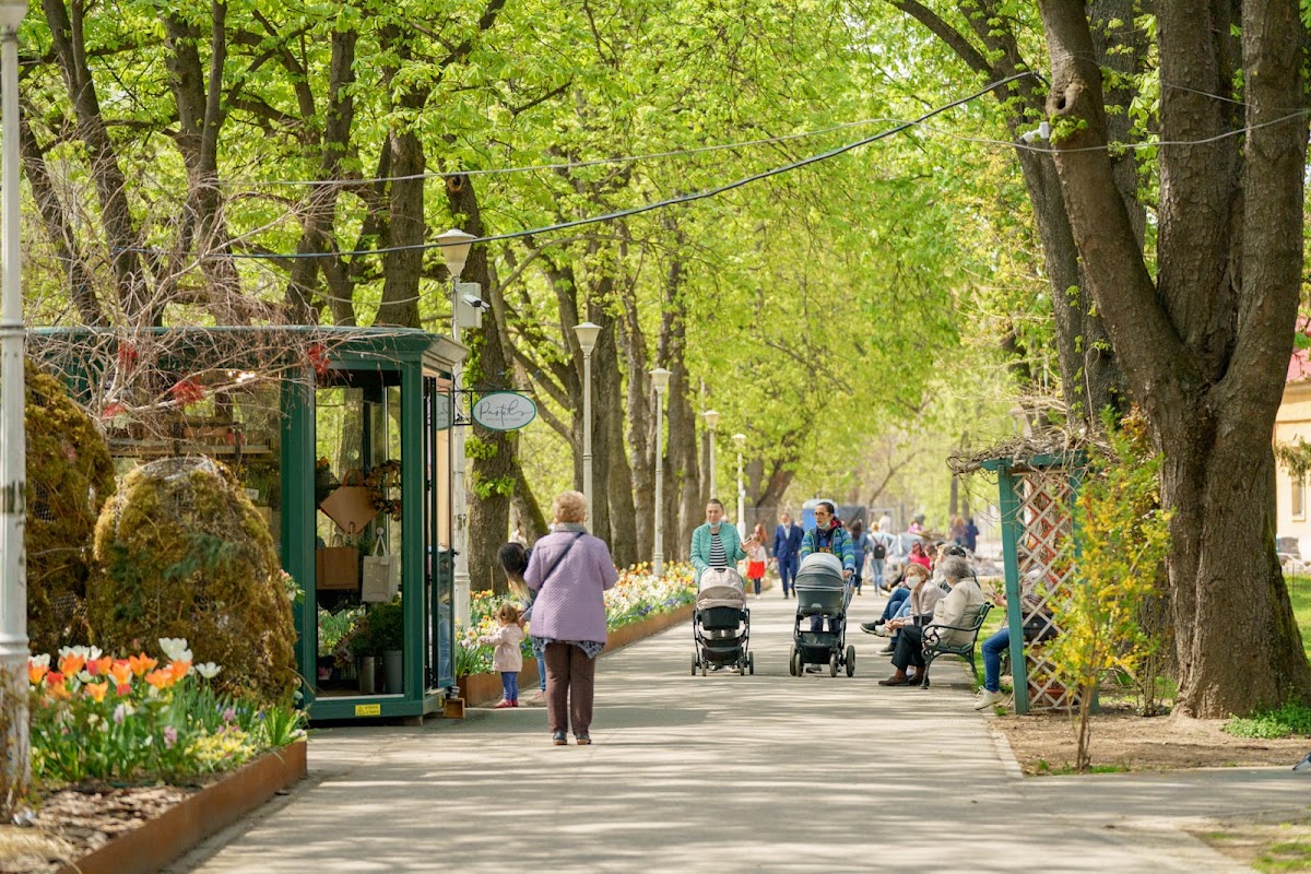 Parc de la Liberté - foto 1