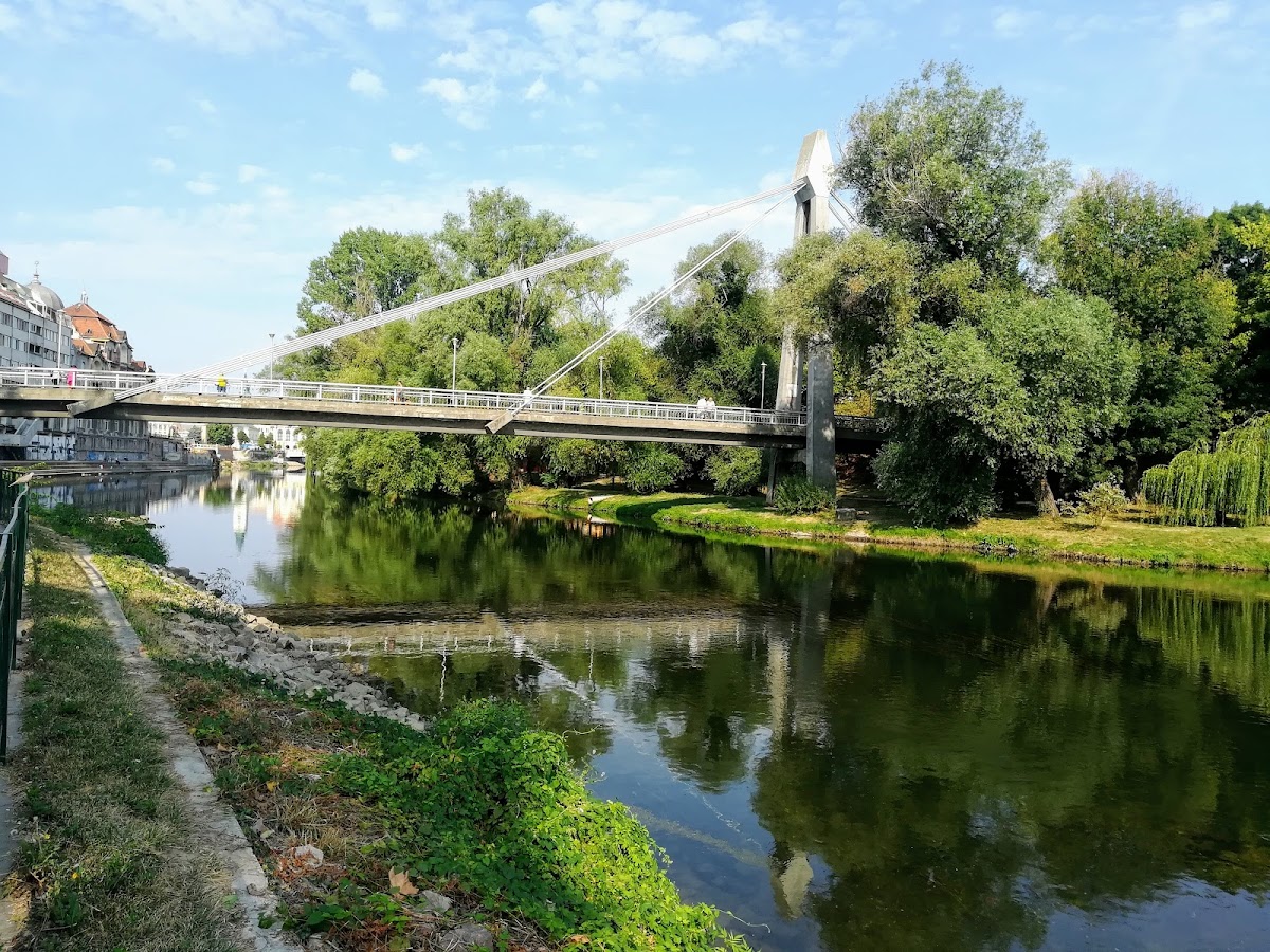 Parc de la Liberté - foto 4