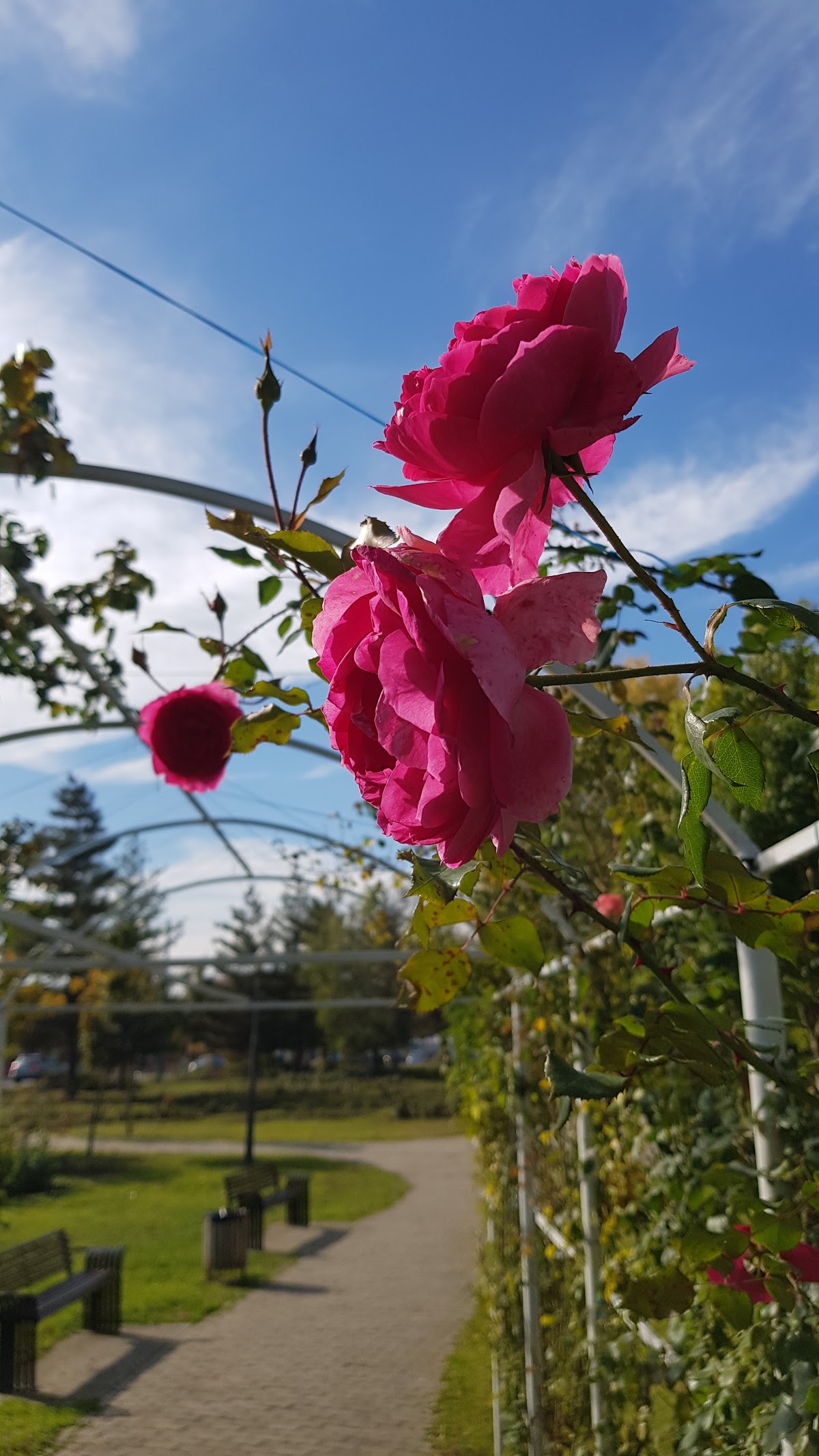 Parcul Lidia - foto 4
