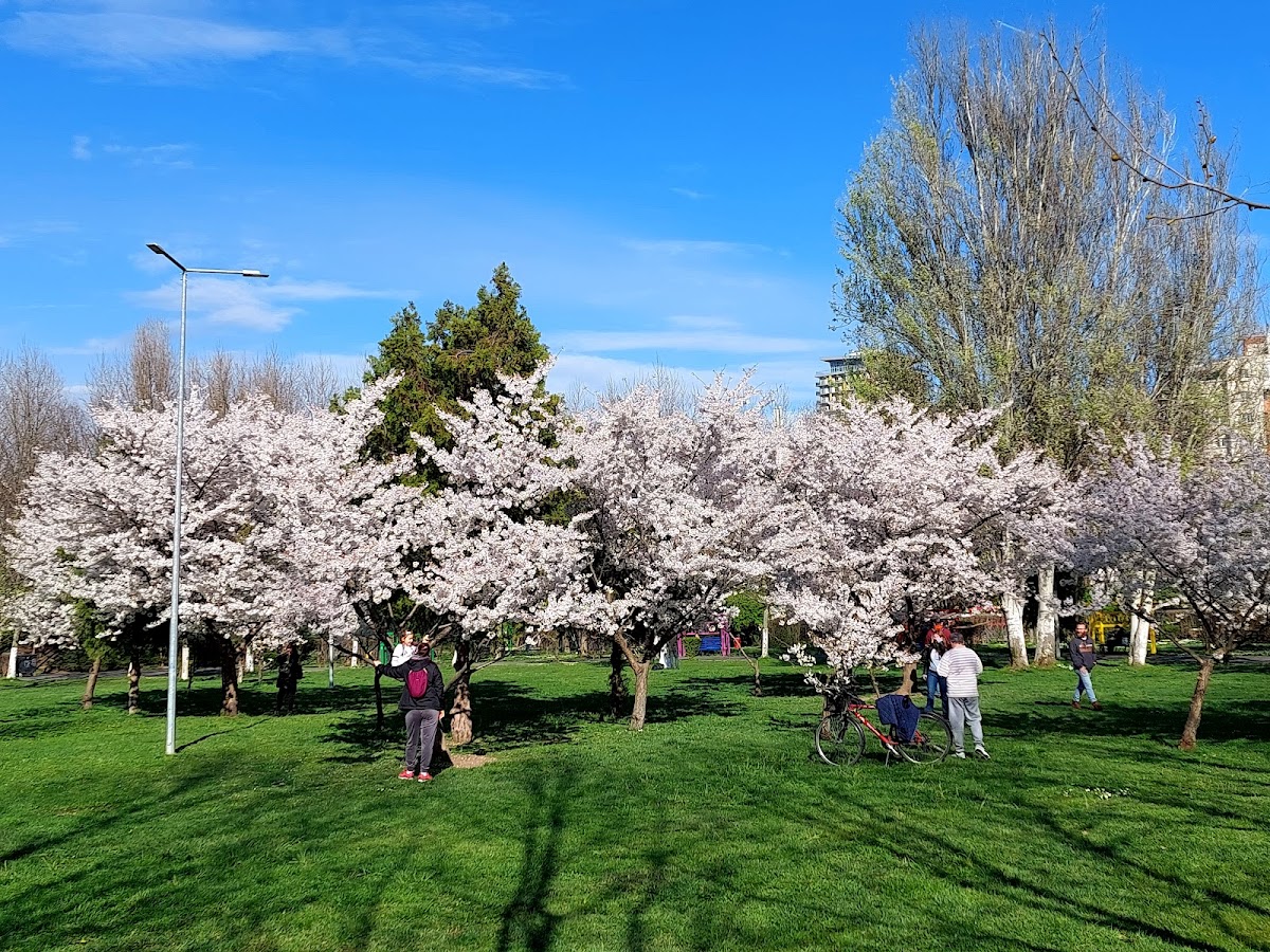 Parcul "Lumea Copiilor" - foto 2