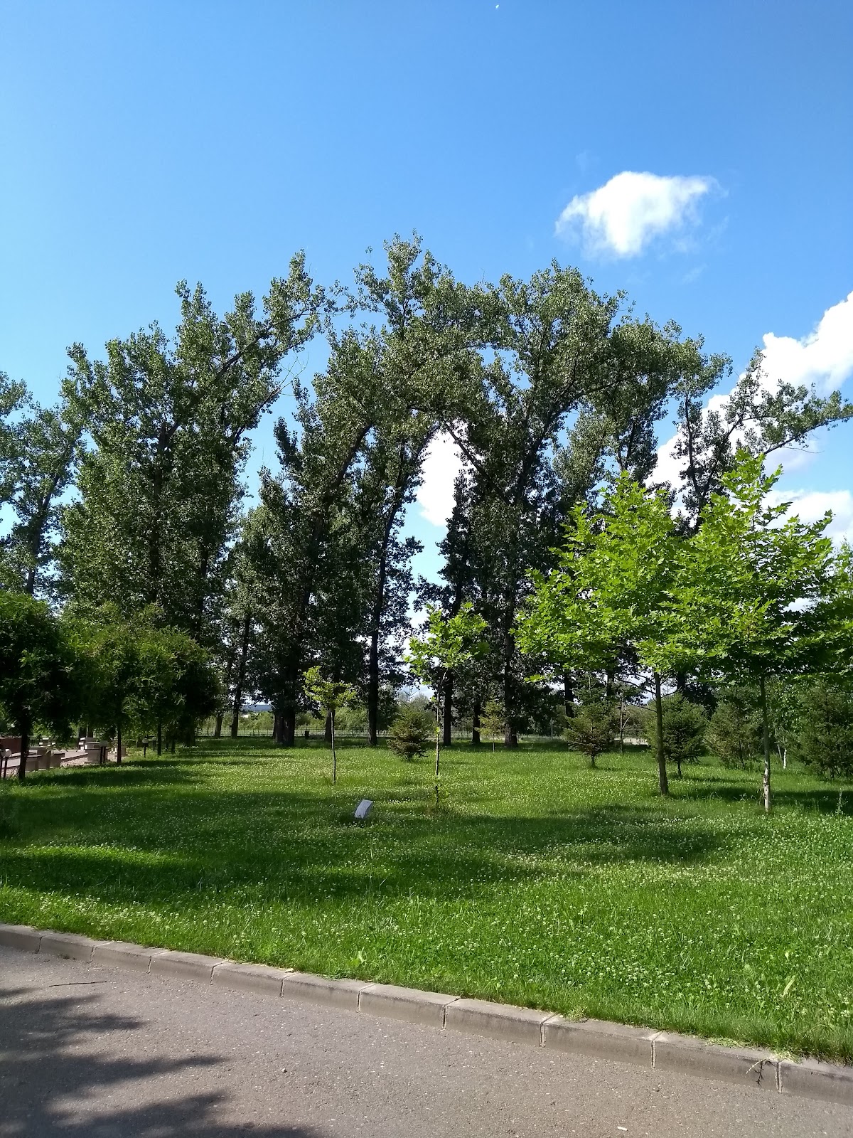 Parcul Lunca Argeșului - foto 2