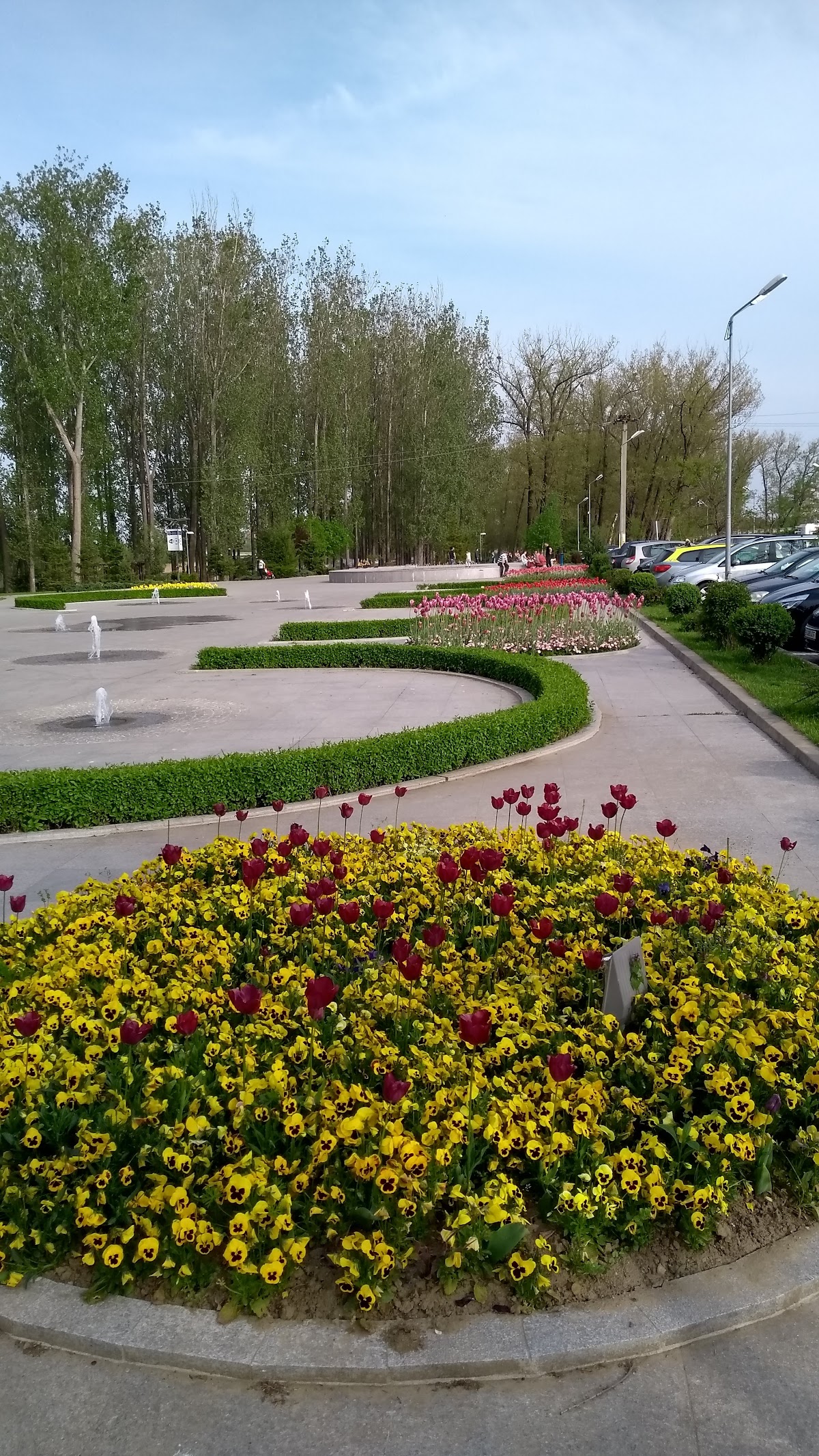 Parcul Lunca Argeșului - foto 3