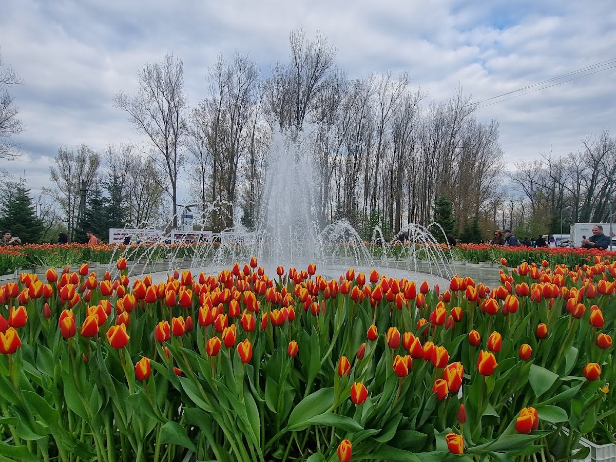 Parcul Lunca Argeșului - foto 4
