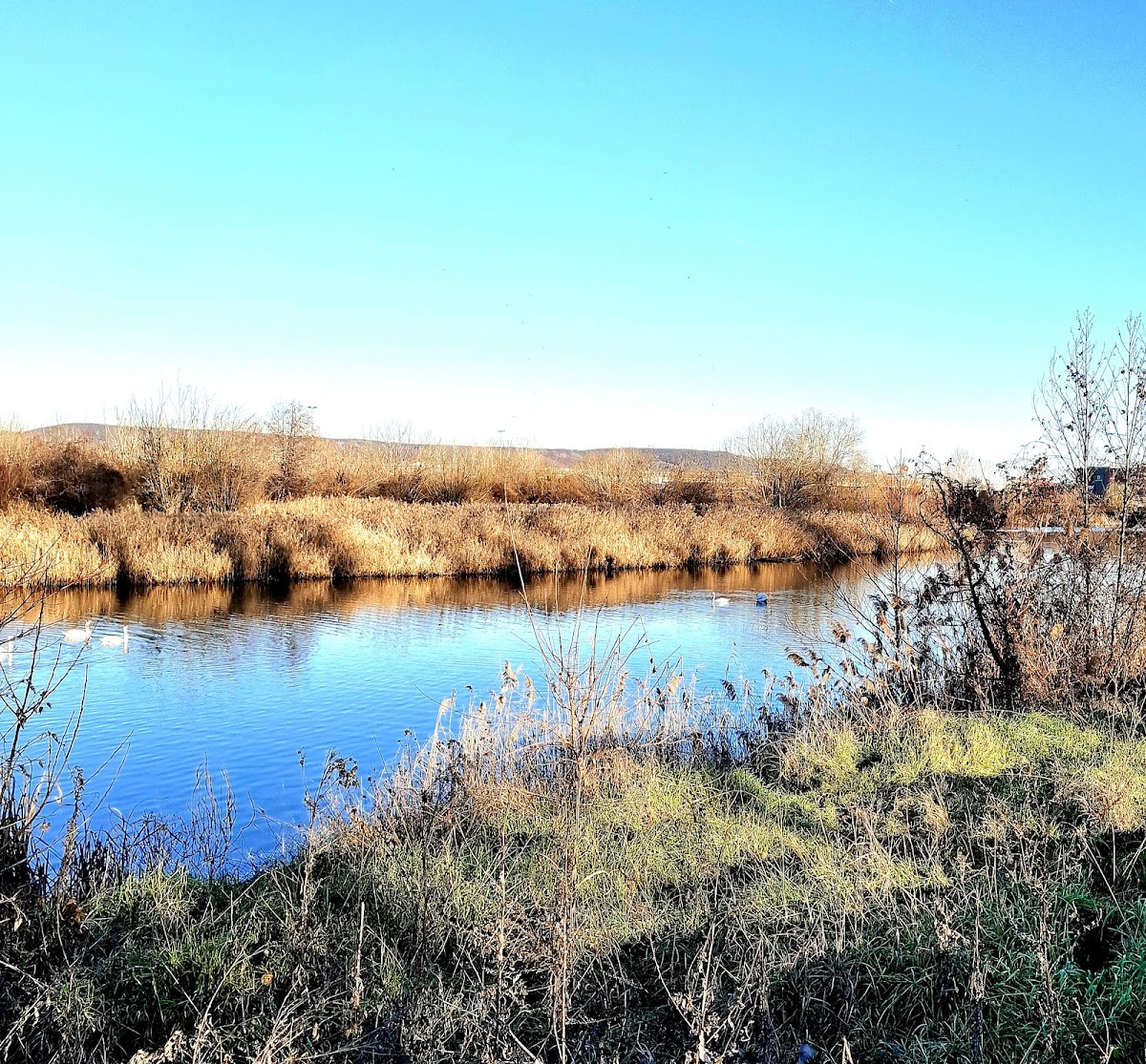 Parcul Lunca Argeșului - foto 5