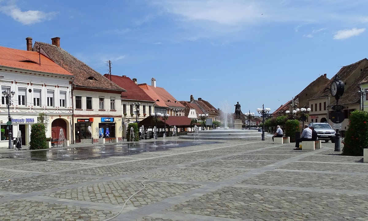 Parc Măgura - foto 2