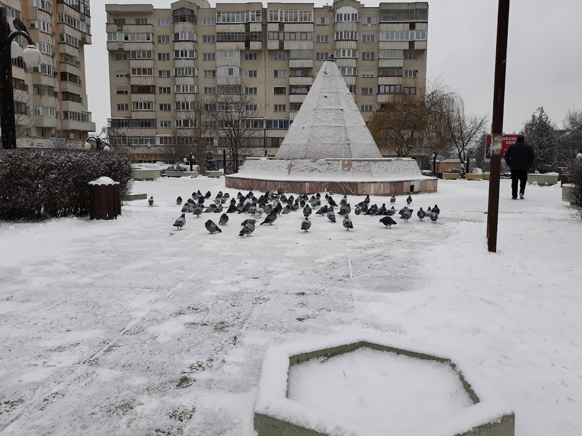 Parcul Marasesti - foto 4
