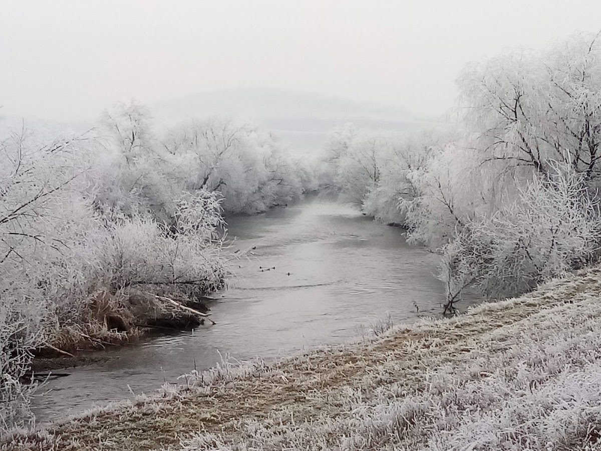 Parcul Mare - foto 2
