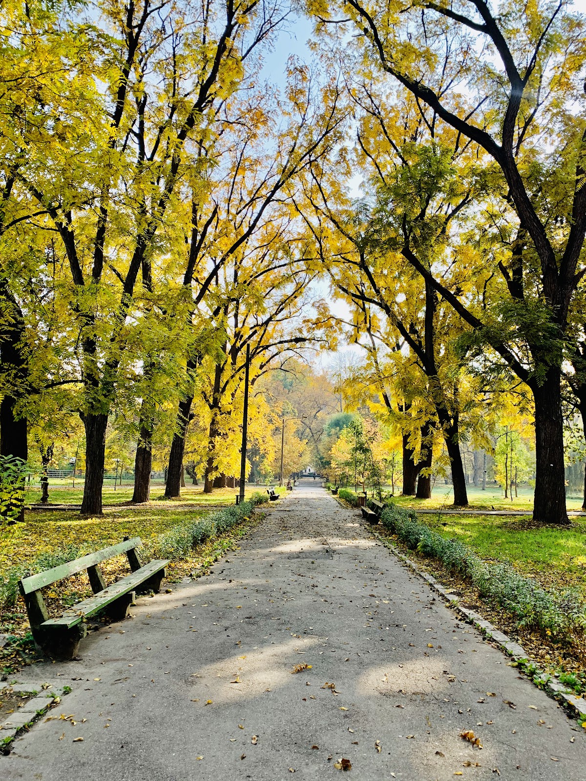 Parcul Mare - foto 5