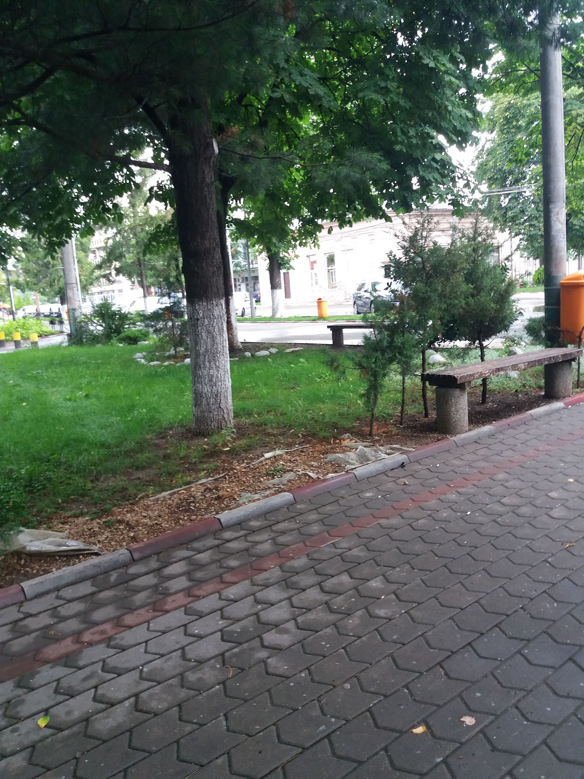 Parcul Mare Odobeşti - foto 2