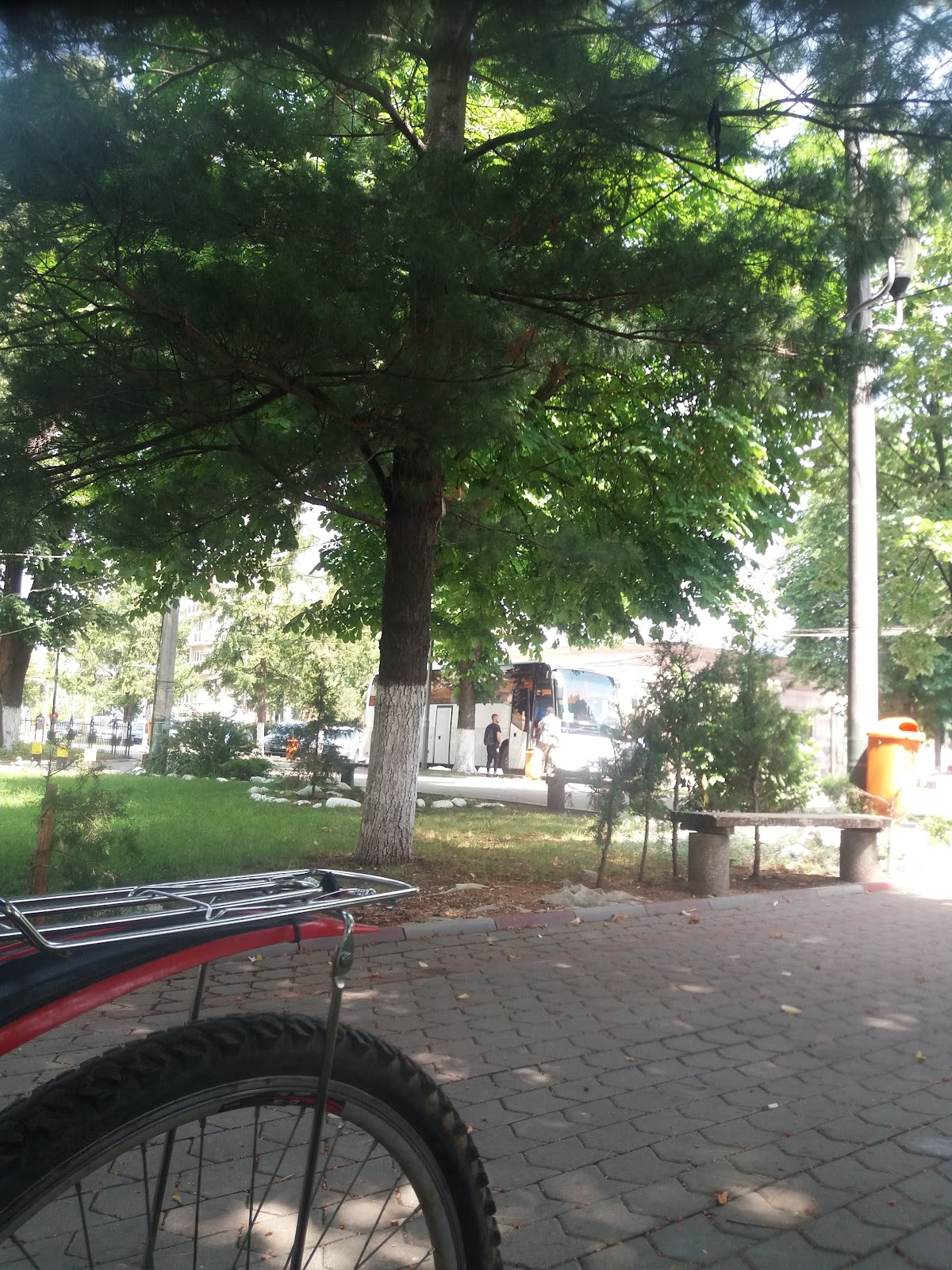 Parcul Mare Odobeşti - foto 4