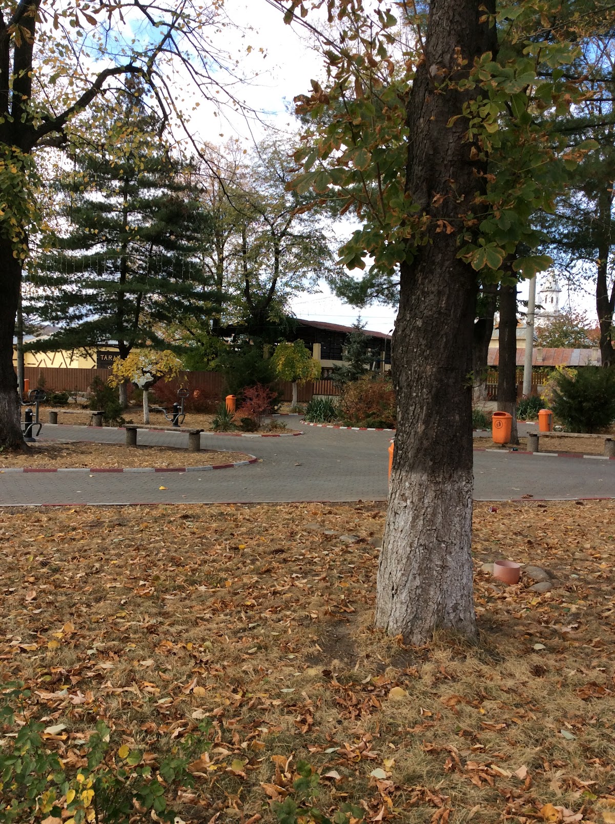 Parcul Mare Odobeşti - foto 5