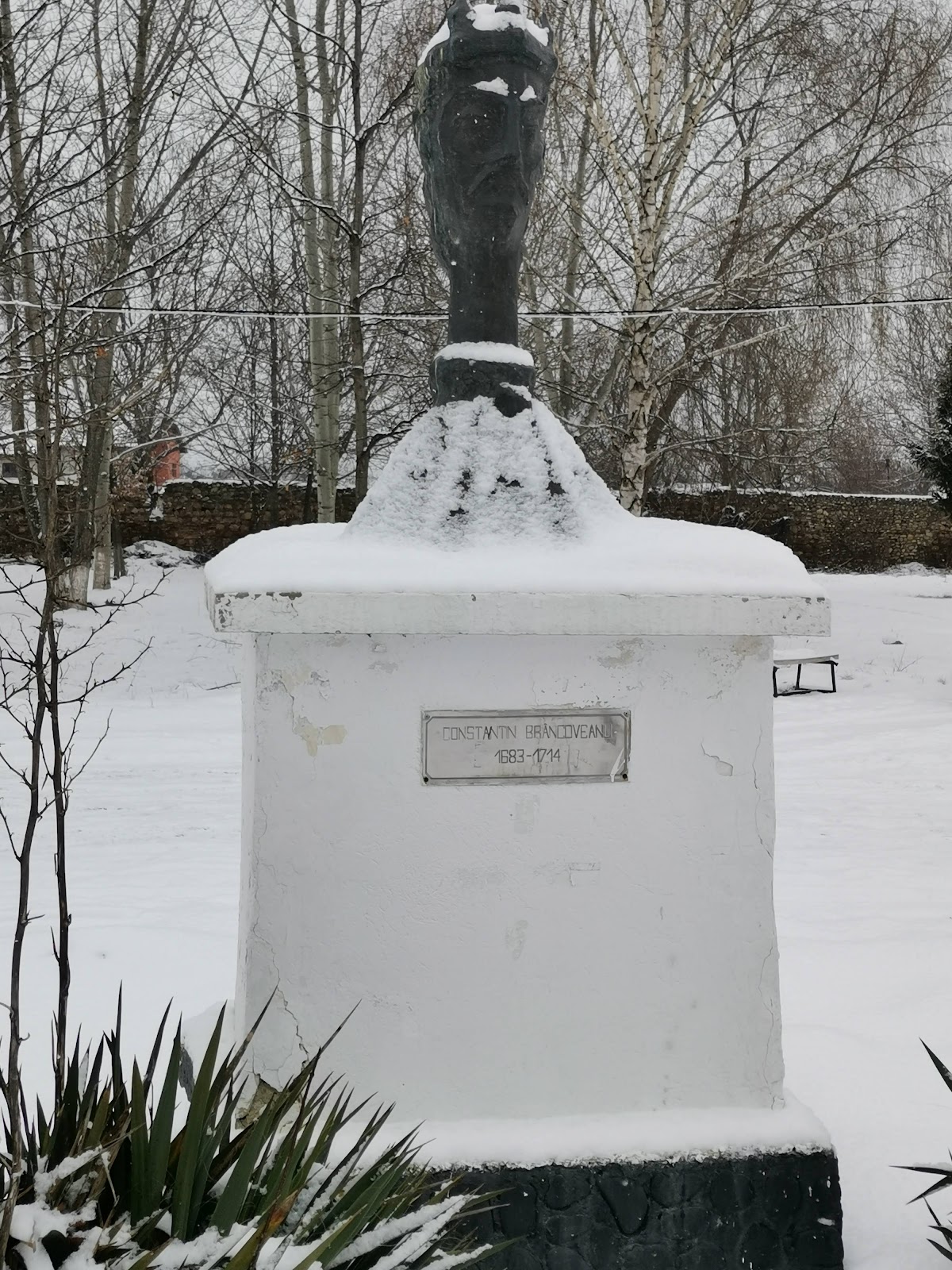 Parcul Mateiaș - foto 4