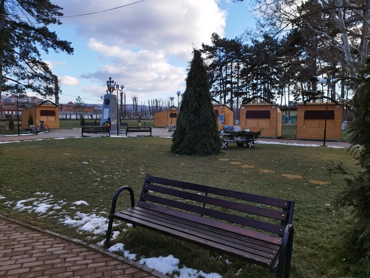 Gedenkpark Ciurea 1917 - foto 3