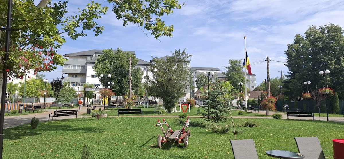 Gedenkpark Ciurea 1917 - foto 5