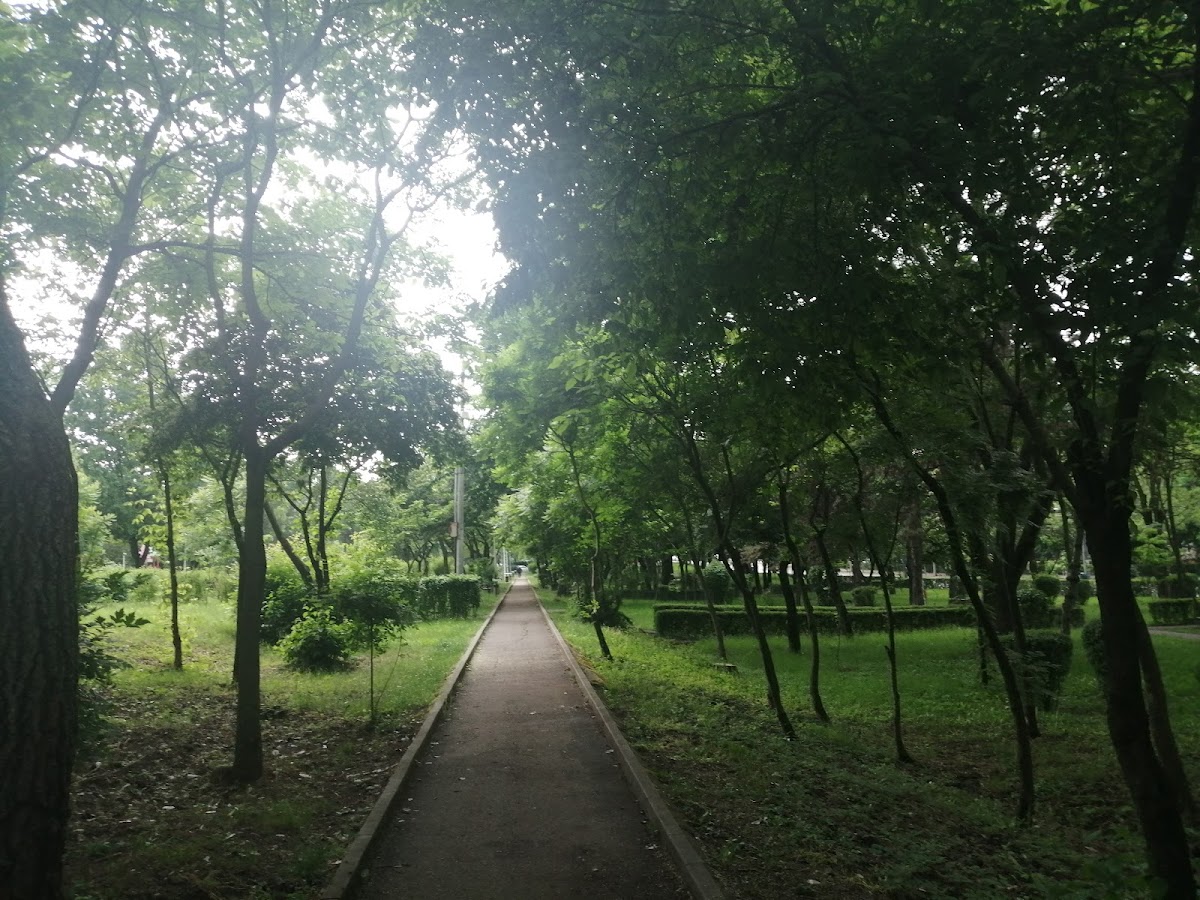 工艺公园