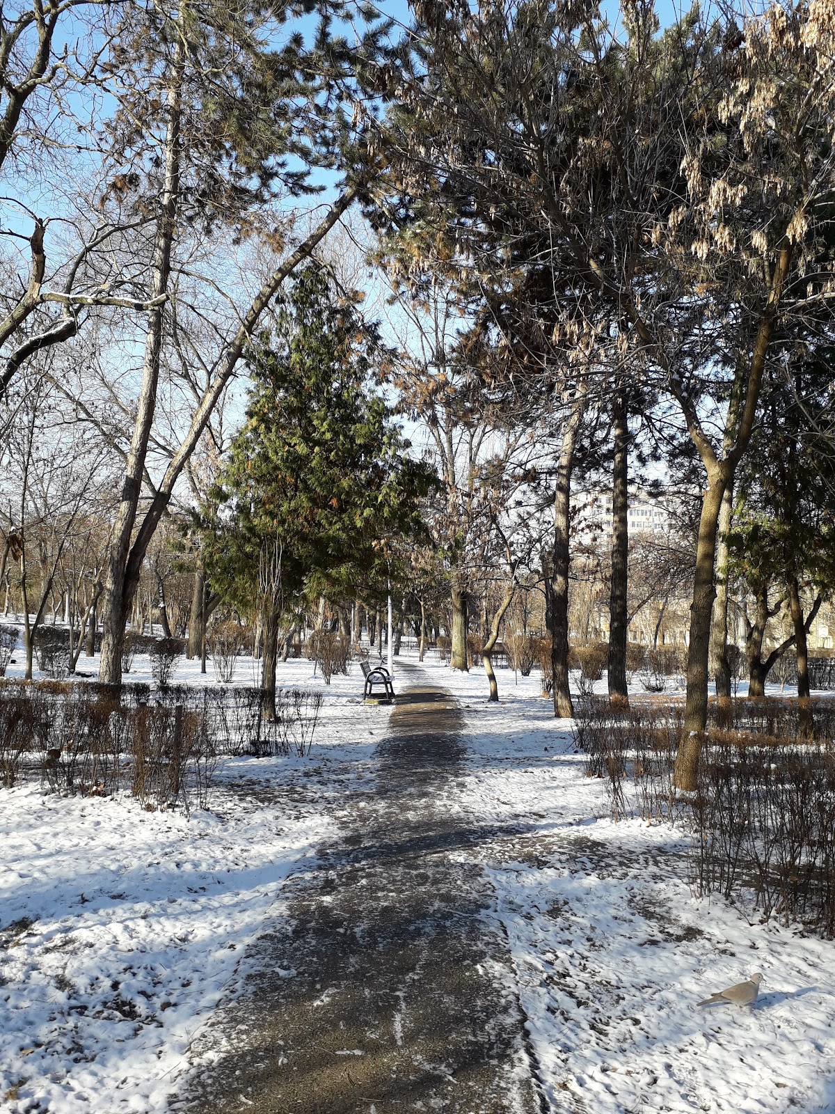 工艺公园 - foto 2