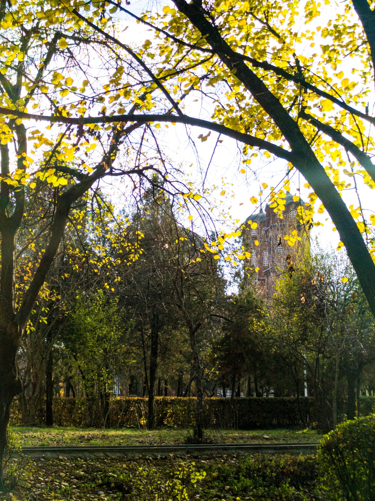 工艺公园 - foto 5