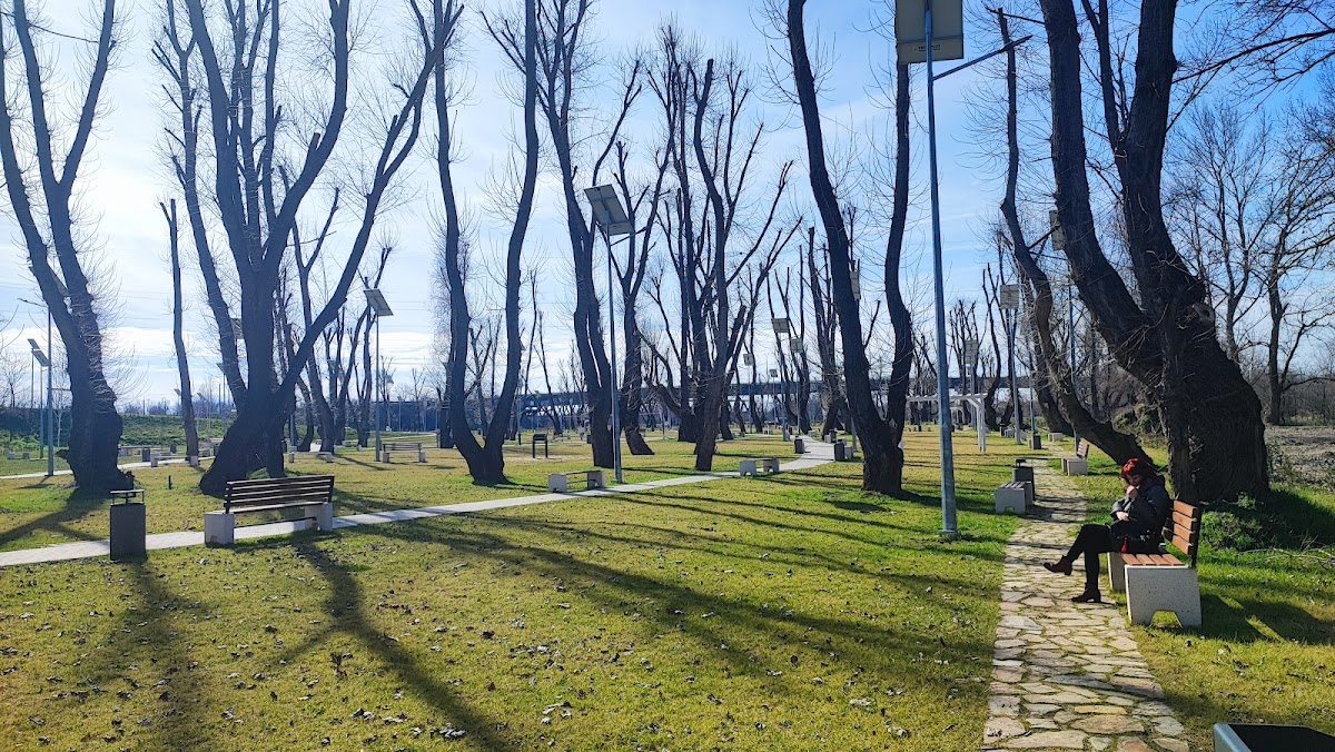 Parcul Micălaca Zona 300