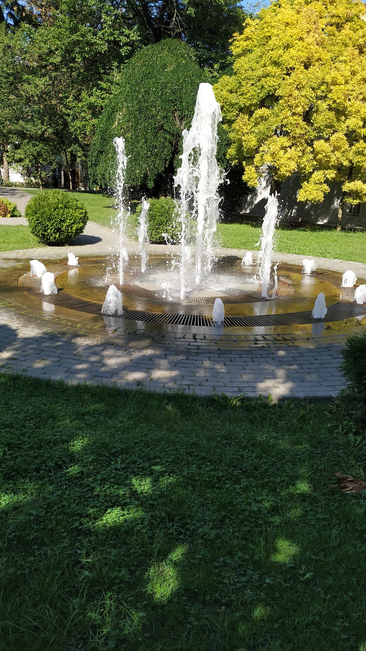 Parcul Mircea cel Bătrân - foto 3