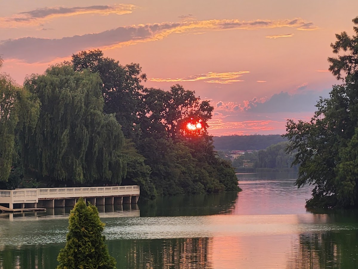Parcul Mogoșoaia - foto 5