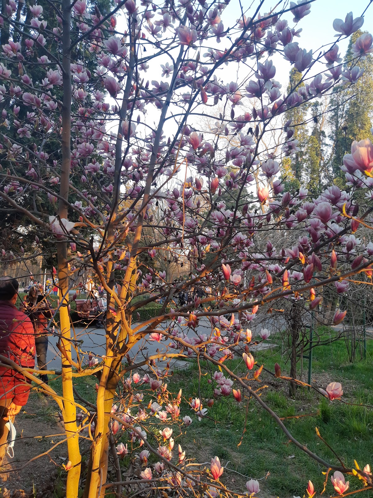 Parc Monument Brăila - foto 3
