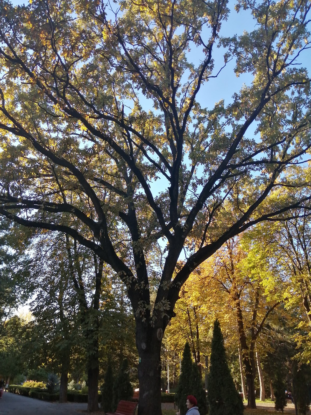 Parc Monument Brăila - foto 5