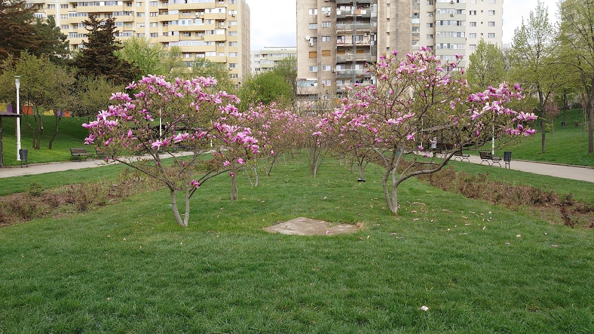 莫拉里公园 - foto 5