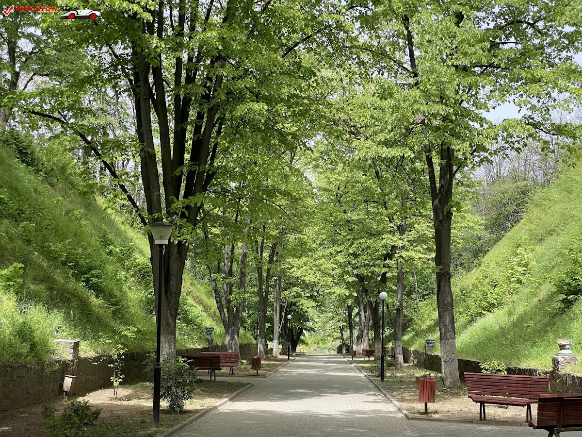 Parcul Municipal - foto 5