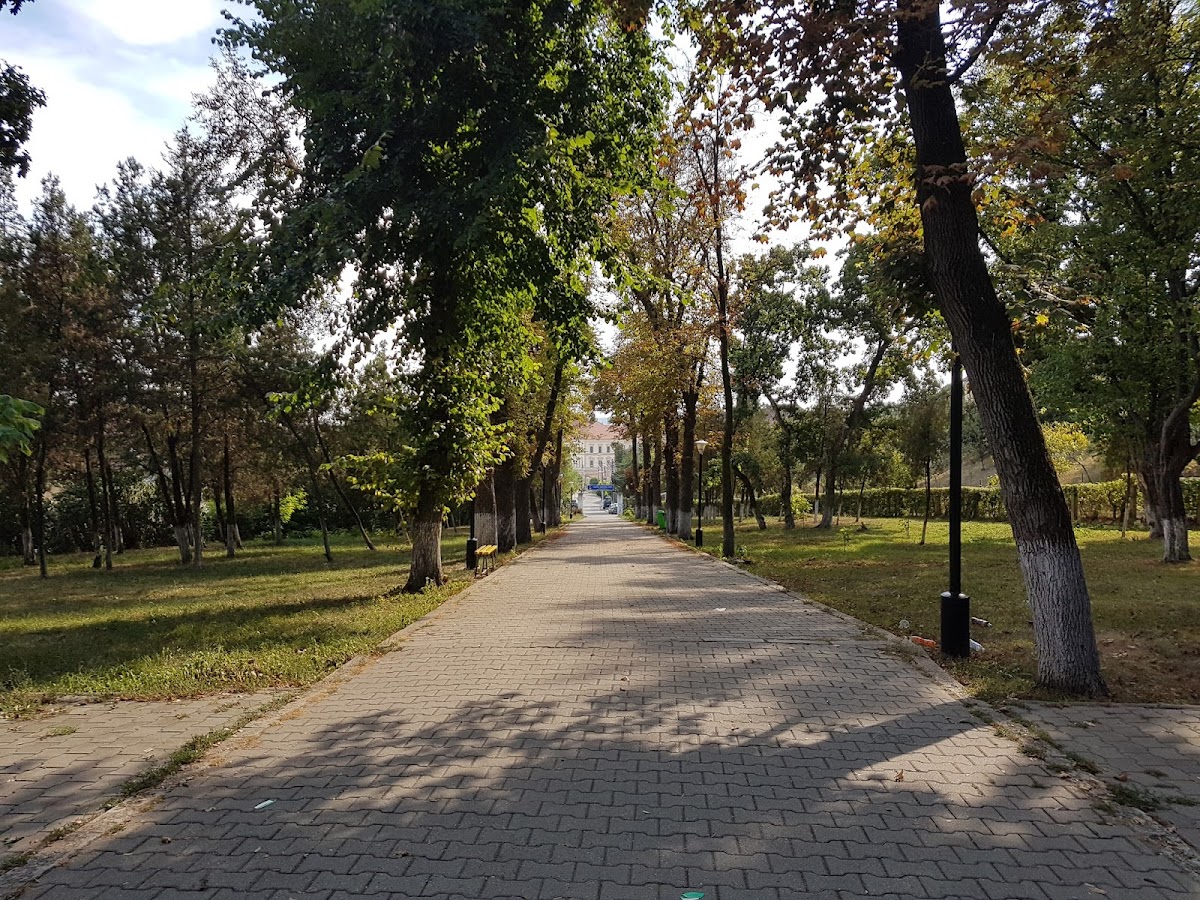 艾乌德市立公园 - foto 2