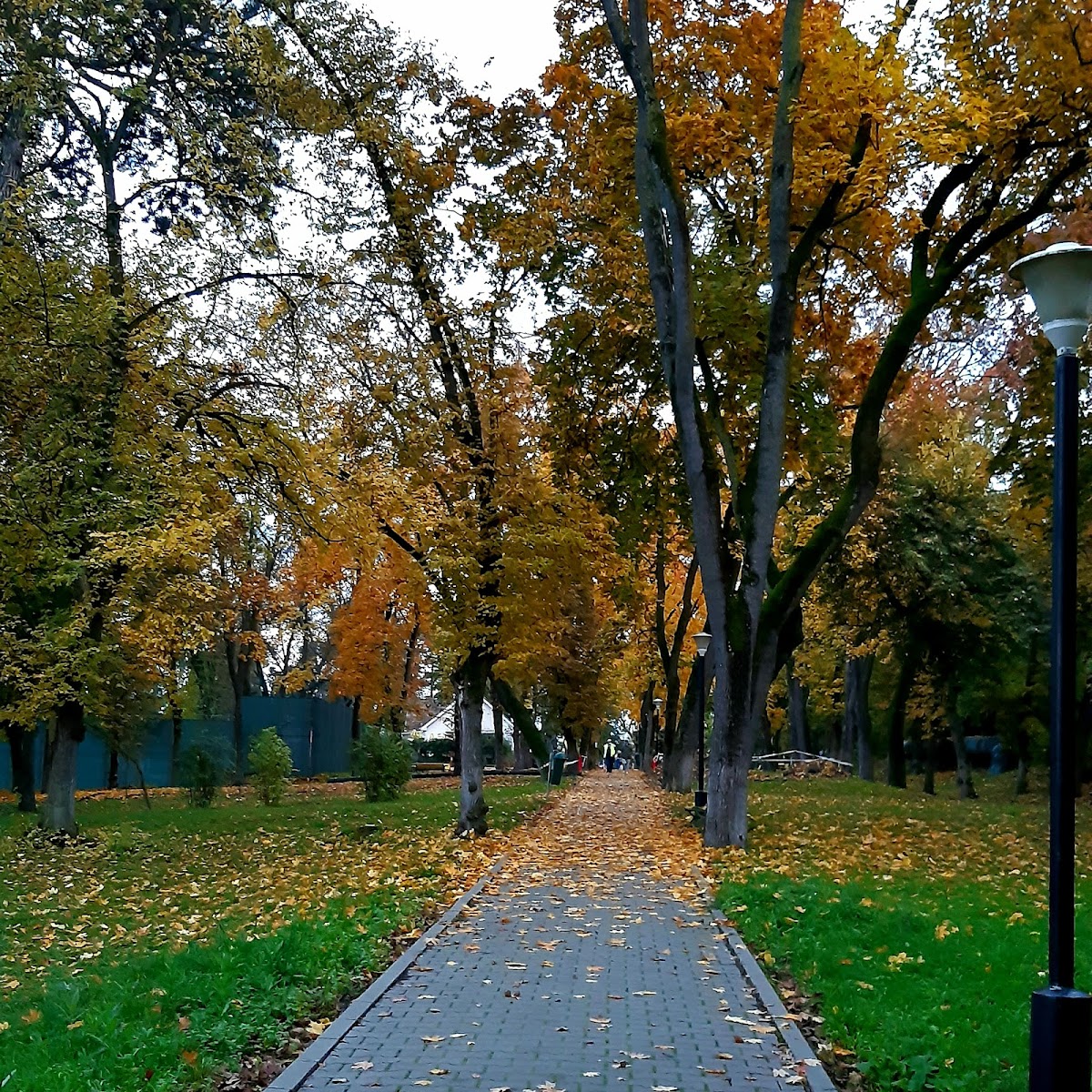 艾乌德市立公园 - foto 4