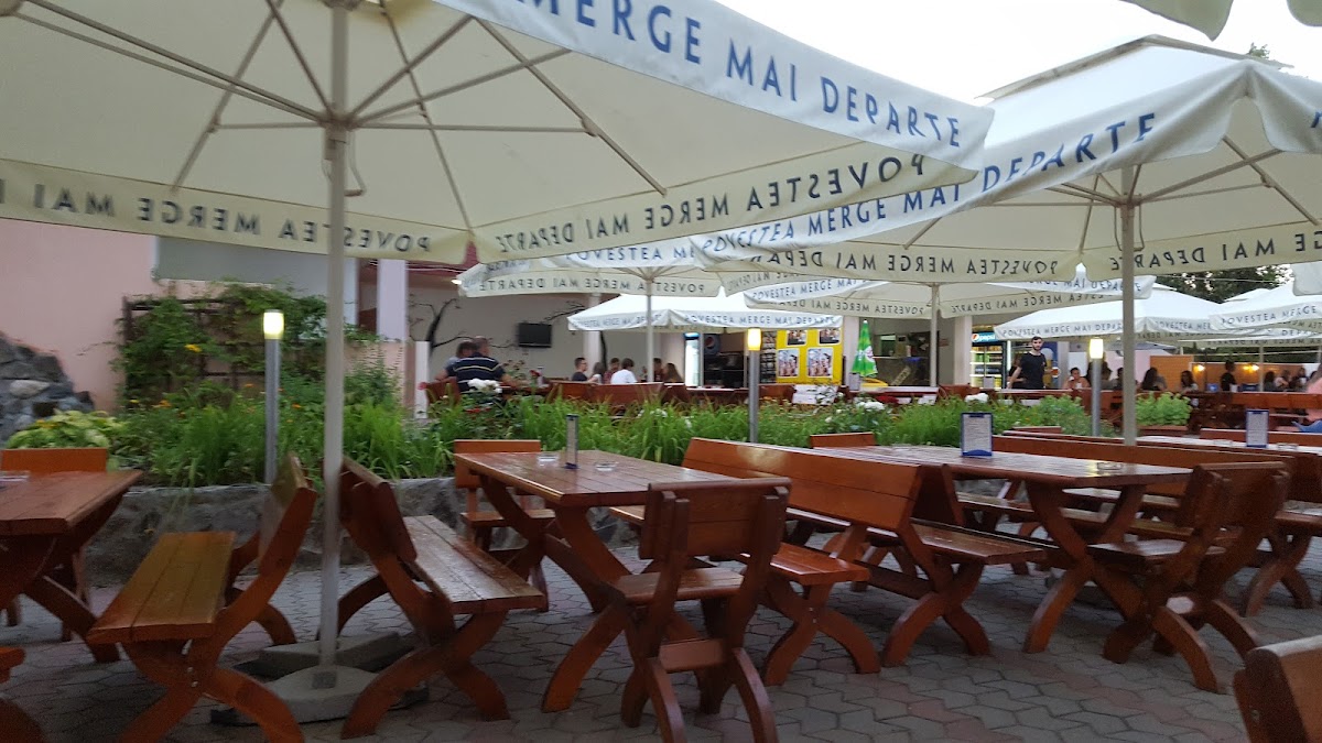 艾乌德市立公园 - foto 5