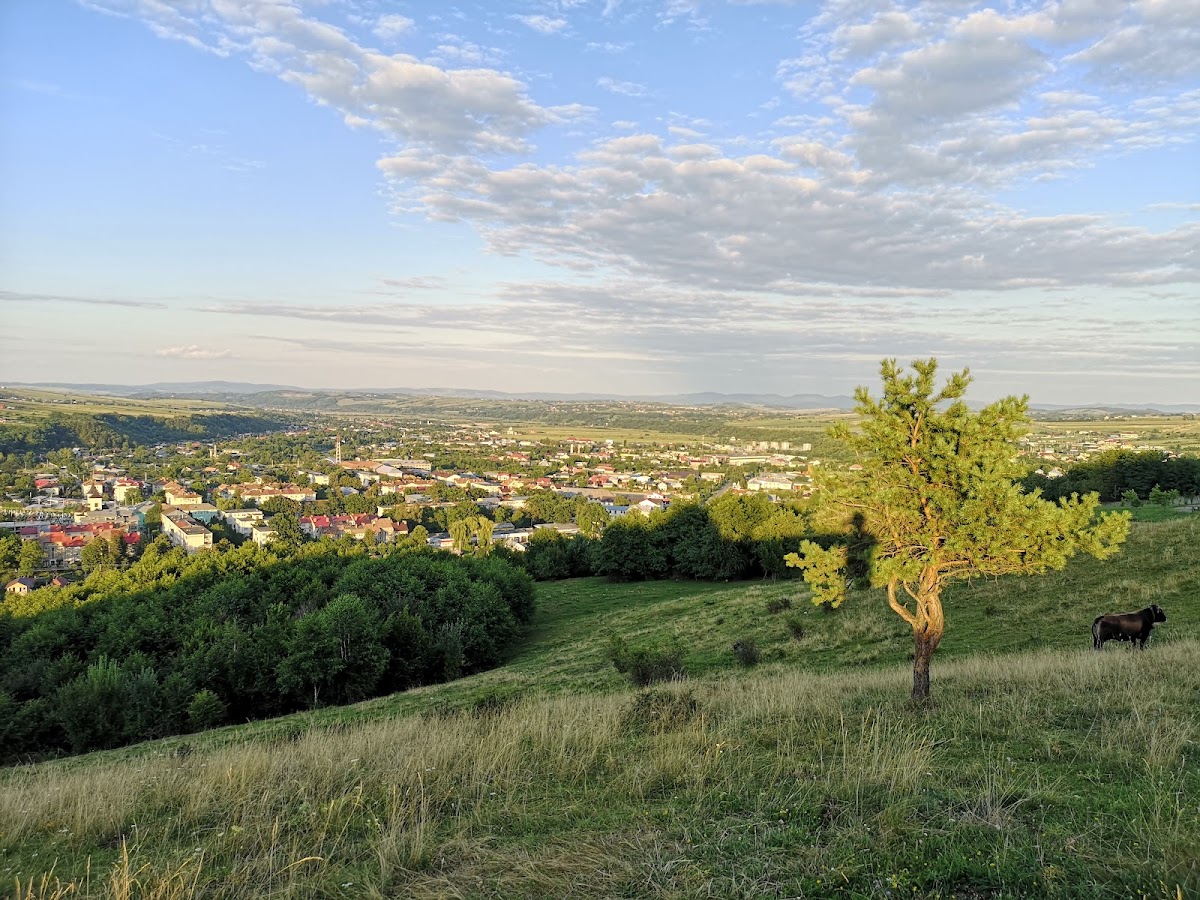 Municipal Park of Moineşti - foto 2