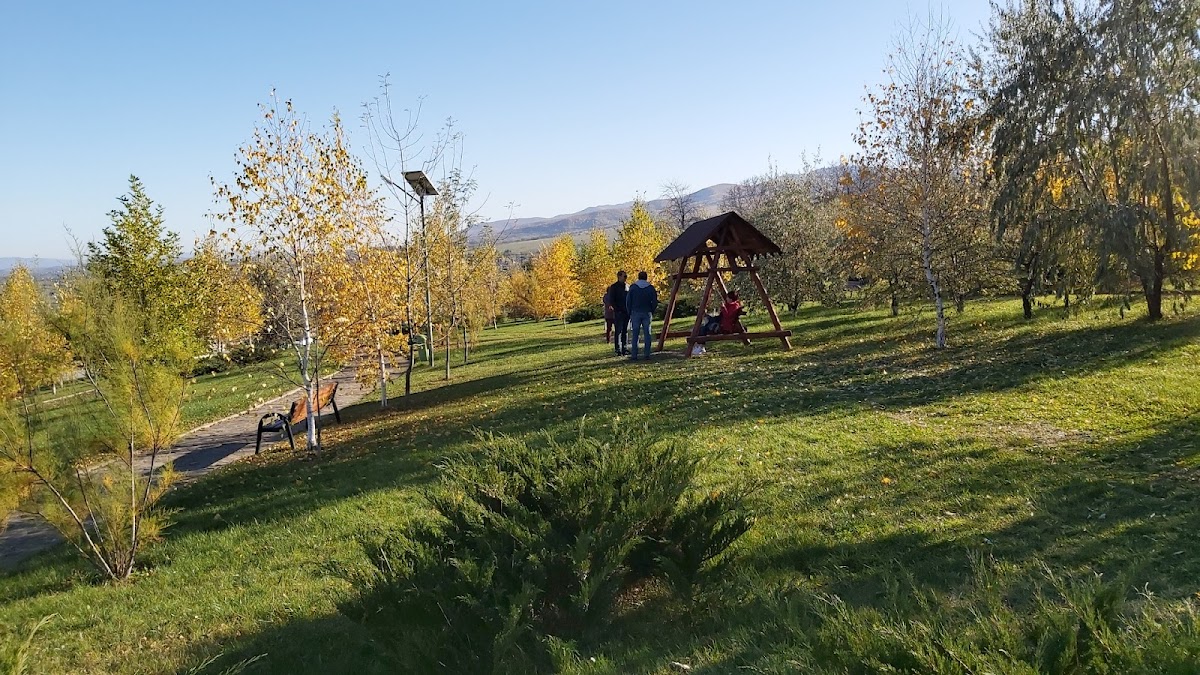 Municipal Park of Moineşti - foto 3