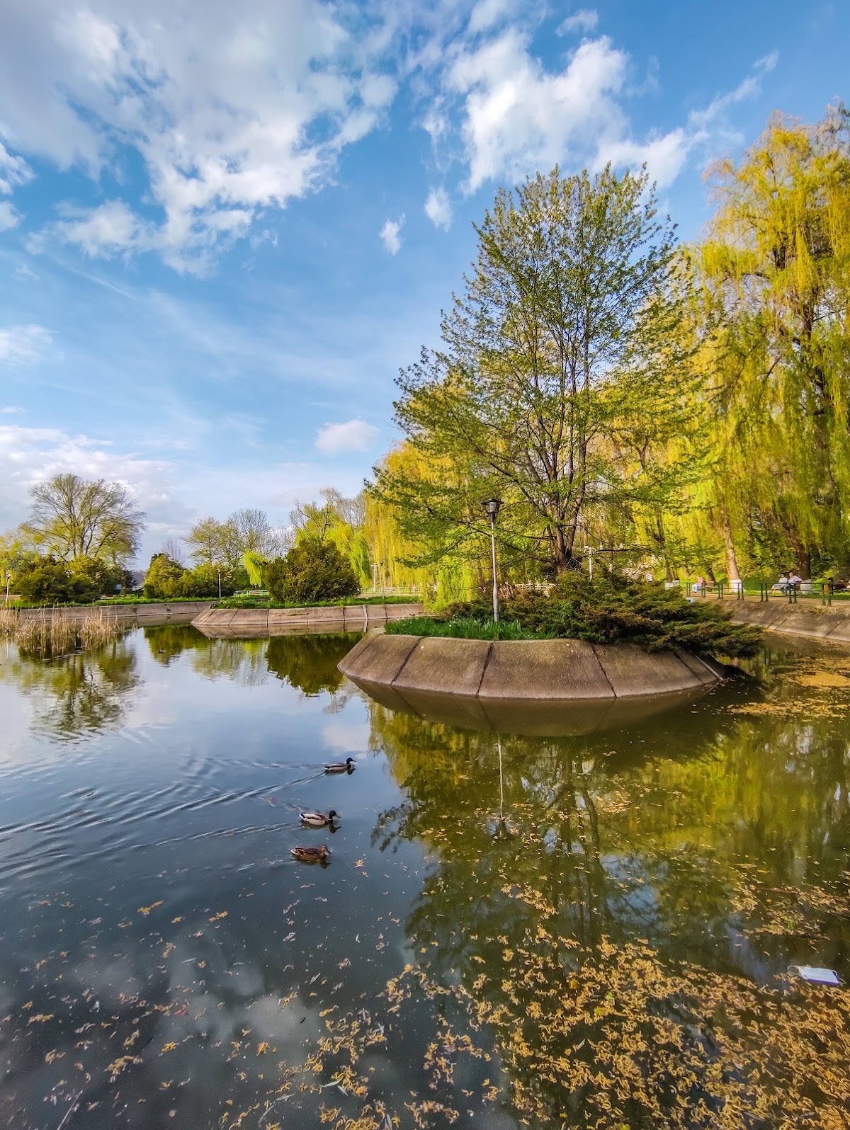 Parc Municipal de Onești - foto 2