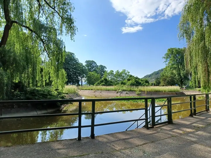 Parc Municipal de Onești - foto 3