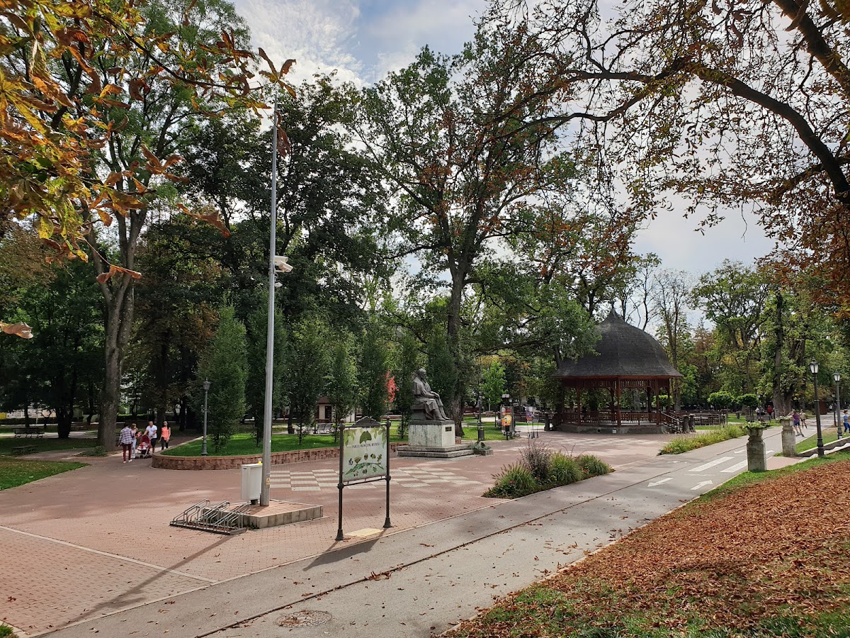 Parc Municipal „Regele Mihai I” Bistrița - foto 2